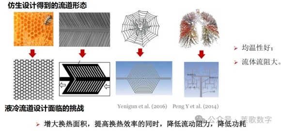 80ad45b050f41d26188d79783b2192bb.jpg 80ad45b050f41d26188d79783b2192bb.jpg